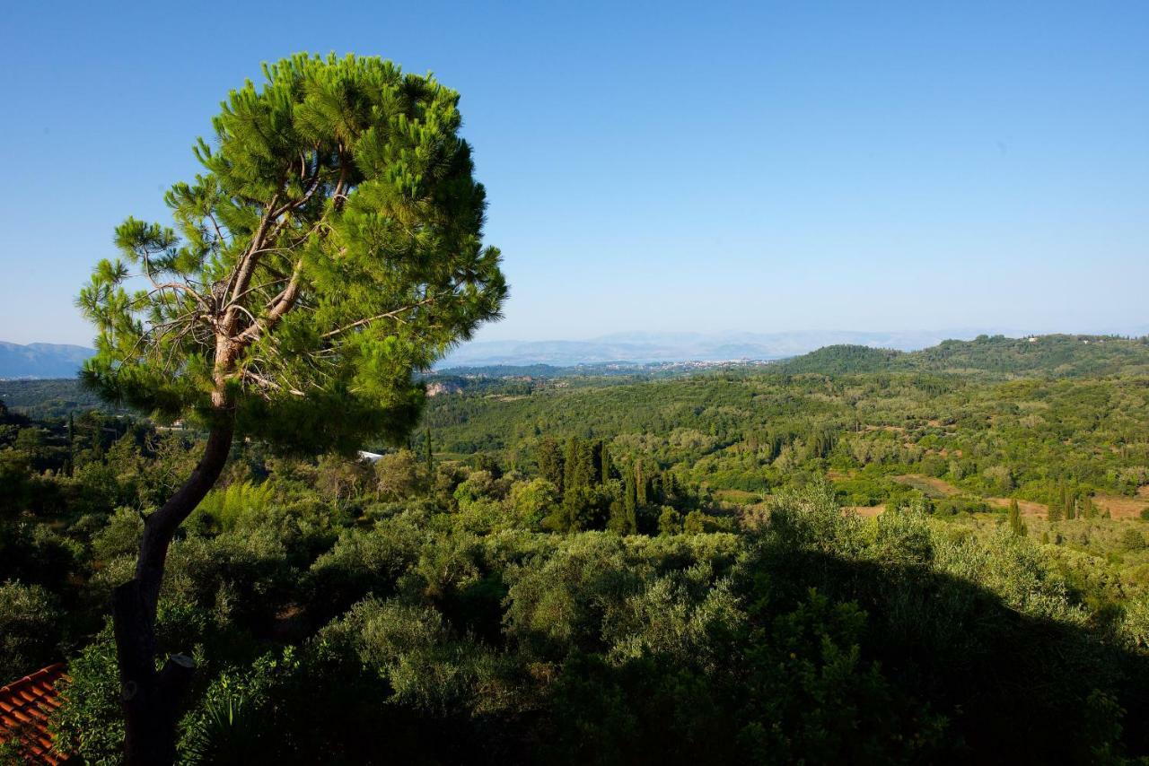 Aurora Apartment Corfu Пелекас Экстерьер фото